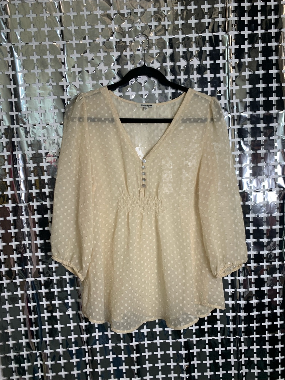 Daniel Rainn Delicate Cream Swiss Dot Blouse